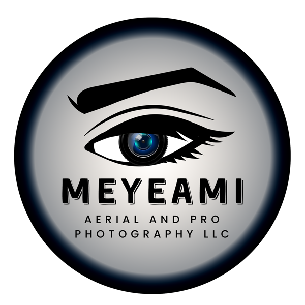meyeami-600-puck